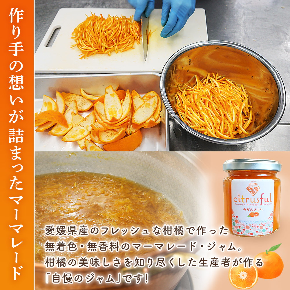 ＜マーマレード・ジャム 3種セット＞ 国産 愛媛県産 西宇和 マーマレード ジャム セット 3個 産地直送 季節のジャム みかん ミカン 果物 フルーツ 柑橘 オレンジ 蜜柑 手作り 果実 手作りジャム 小林果園 愛媛県 西予市