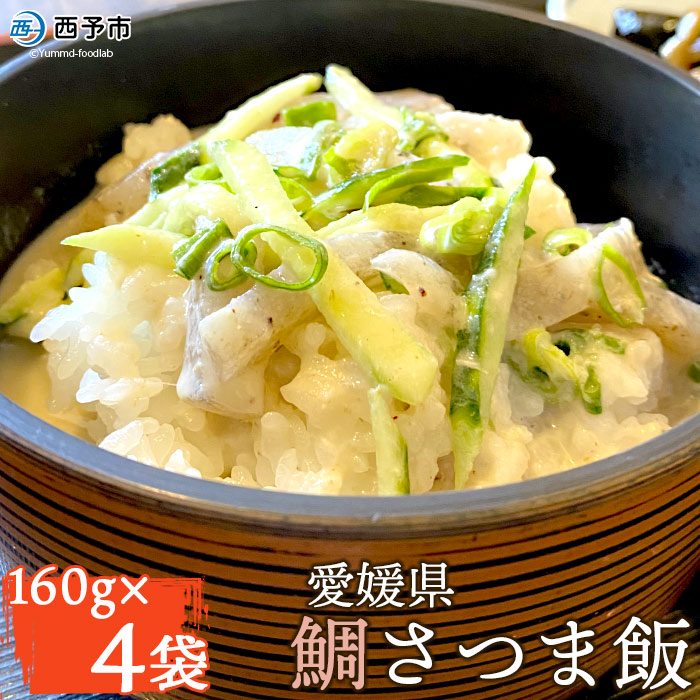 愛媛県　鯛さつま飯（４袋）