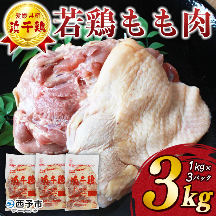 ＜銘柄鶏 浜千鶏 愛媛県産 若鶏もも肉 3kg（1kg×3）＞ 国産 鶏肉 鳥肉 とり チキン モモ肉 はまちどり ブロック 精肉 にく 料理 アレンジ 夕飯 夕食 お弁当 昼食 唐揚げ から揚げ 焼き鳥 マルハフーズ株式会社 愛媛県 西予市