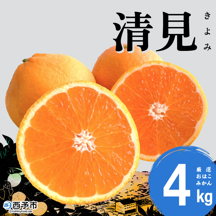 ＜おはこやがつくる 清見 約4kg（L～3Lサイズ）＞ 果物 フルーツ 柑橘 清見タンゴール みかん 特産品 西宇和 愛媛県 西予市