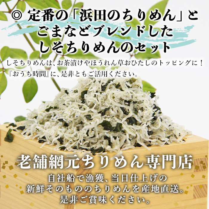 ＜老舗網元 浜田のちりめん しそちりめんセット(ちりめん70g×3袋 しそちりめん70g×2袋)＞ 詰め合わせ かたくちいわし カタクチイワシ 小魚 のし対応可 お祝い ギフト 贈答 乾物 小分け 国産 マルヨシ水産 特産品 愛媛県 西予市