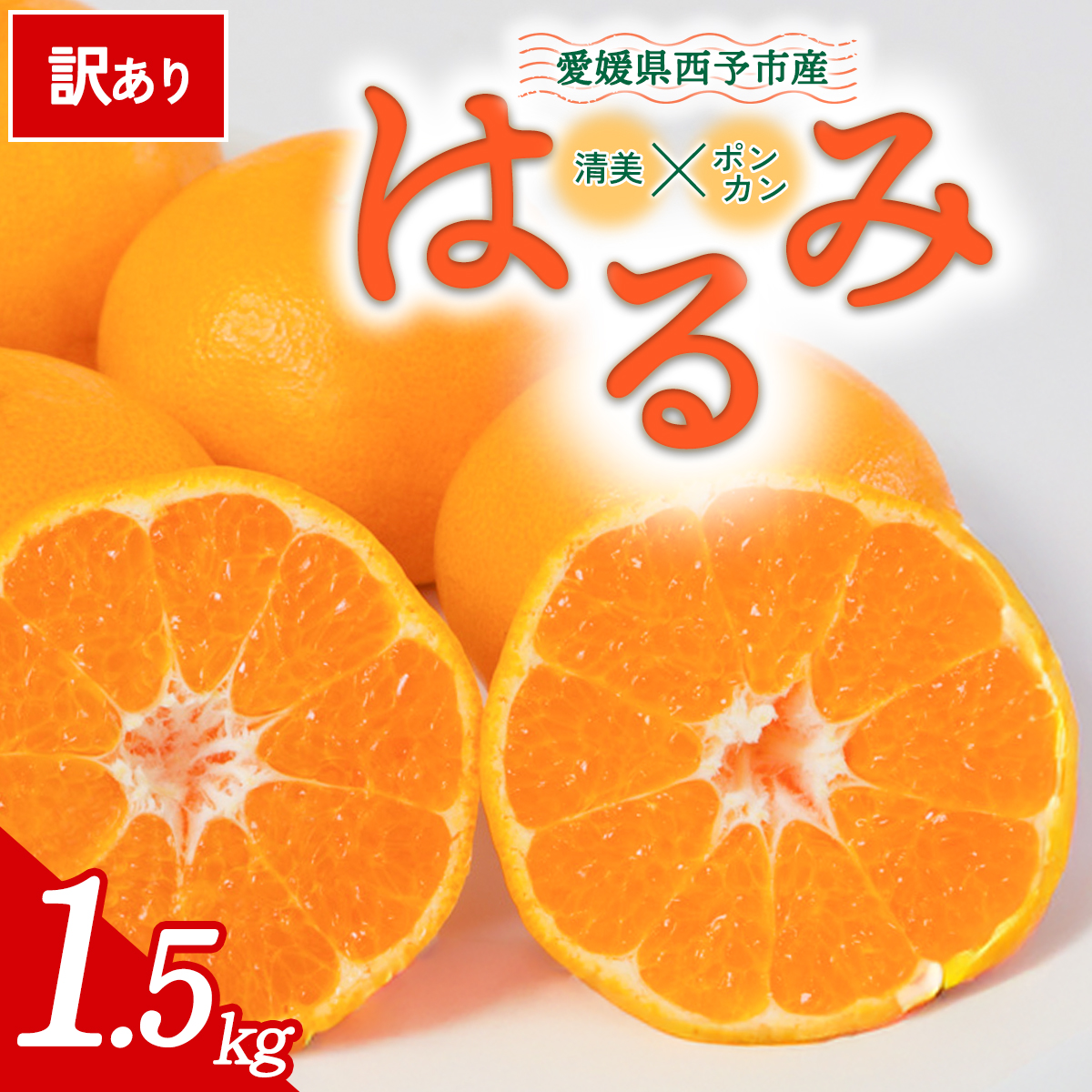 先行予約＜訳あり 愛媛県産 はるみ 合計約1.5kg＞ 『2027年2月以降順次出荷予定』 溢れる果汁 フレッシュ ご家庭用 ご自宅 大粒 果肉 お試し わけあり 果物 柑橘 フルーツ オレンジ 国産 濃厚 産地直送 ミヤモトオレンジガーデン 愛媛県 西予市【常温】