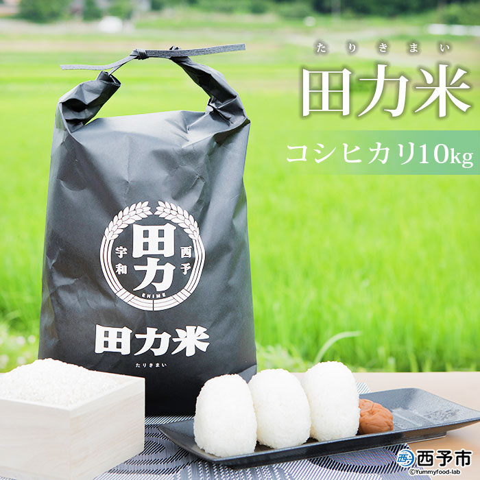 ＜令和6年産 田力米10kg コシヒカリ＞ お米 こしひかり コメ おこめ 愛媛県 西予市