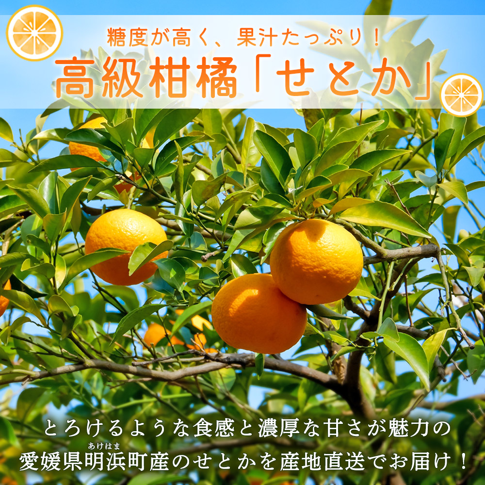 ïŒç£å°çŽéïŒæåªçææµçºç£ ããšã çŽ5kgïŒ ã»ãã« æç© ãã ãã® ã¿ãã ãã«ã³ ææ© ãã«ãŒã ææ©é¡ æå® é«çŽ ç³åºŠ ææ± ææ©ã®å€§ãã çã åœç£ ç¹ç£å å®éœå®®èŸ²å æåªç 西äºåž