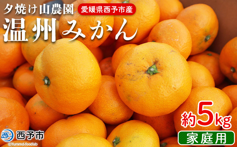 ＜夕焼け山農園 愛媛県西予市産 温州みかん 家庭用 約５kg＞果物 フルーツ ミカン 柑橘 なんかん 訳あり 愛媛県 西予市