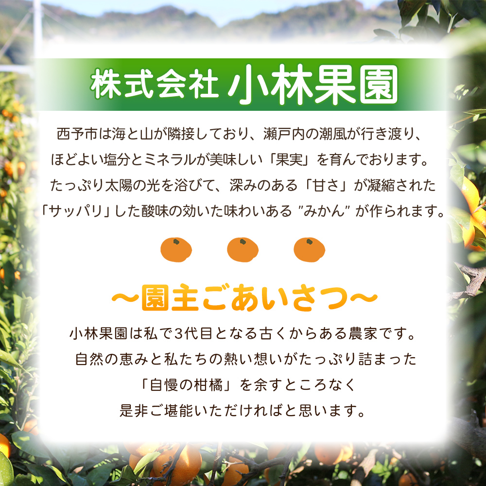 ＜愛媛県西予市産 温州みかん 小粒サイズ 家庭用 約3.2kg＞ 西宇和 小玉 小さめ 家庭用 果物 フルーツ 柑橘 オレンジ ミカン 訳あり 愛媛県 西予市