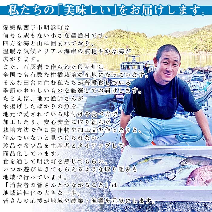 ＜漁師直送 新鮮お魚の詰め合わせ＞ さかな つめあわせ お楽しみ 麹漬け 切り身 おかず おつまみ 下処理済み 簡単 サワラ 愛媛県 西予市