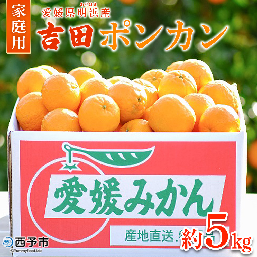 ＜吉田ポンカン 家庭用 約5kg＞ 果物 くだもの フルーツ みかん ミカン 柑橘 吉田ぽんかん よしだぽんかん ヨシダポンカン ぽんかん 訳あり ご自宅用 特産品 株式会社笑丸 愛媛県 西予市