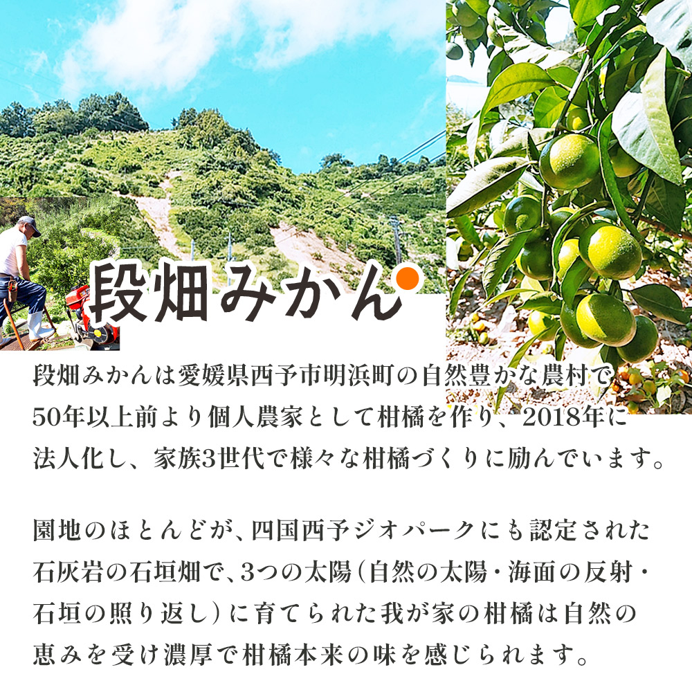 ＜愛媛県産 極早生みかん 約3kg ご家庭用＞ 温州みかん 家庭用 訳あり 果物 ミカン 柑橘 フルーツ 愛媛県 西予市