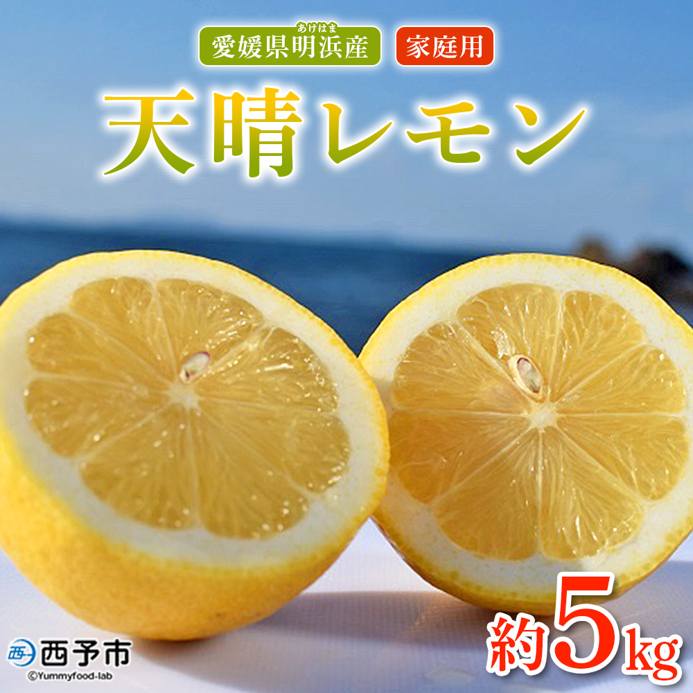＜天晴レモン ご家庭用 約5kg＞ フルーツ 果物 くだもの レモン れもん 檸檬 柑橘 訳あり わけあり ワケアリ 自宅用 料理 国産 国産レモン 愛媛県産 特産品 株式会社笑丸 愛媛県 西予市