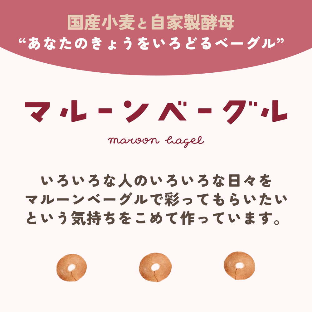 ＜季節のいろいろベーグルセット（おまかせ 8～10個）＞ お楽しみ 国産小麦 自家製酵母 愛媛県 西予市	