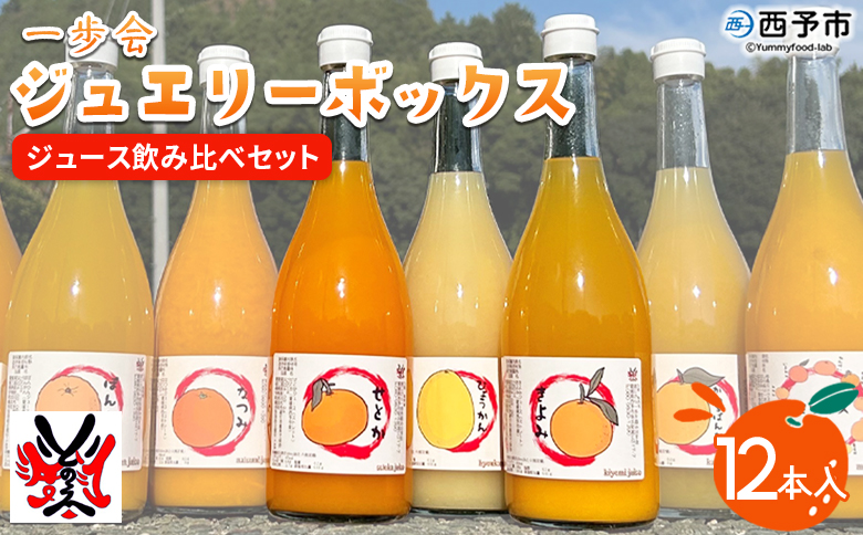 ＜一歩会 ジュエリーボックス ジュース飲み比べセット 720ml×12本入り（果汁100%ストレートジュース）＞『令和8年5月より順次出荷予定』愛媛 みかん ミカン 柑橘 果物 フルーツ 特産品 渡江から一歩を踏み出す会 愛媛県 西予市