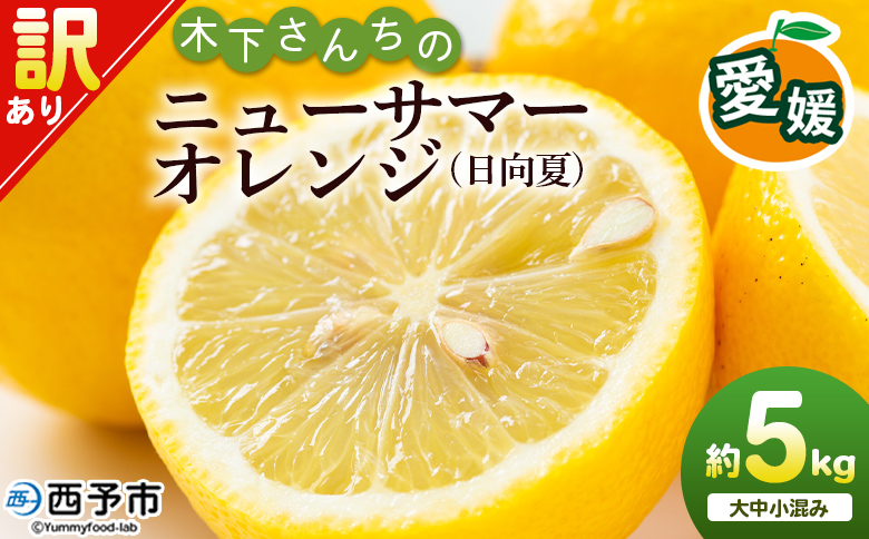 ＜木下さんちのニューサマーオレンジ 訳あり 約5kg（大中小サイズ混み）＞ 柑橘類 日向夏 ミカン 蜜柑 果物 くだもの フルーツ 国産 特産品 木下農園 愛媛県 西予市【常温】『2027年4月上旬〜5月中旬に順次出荷』