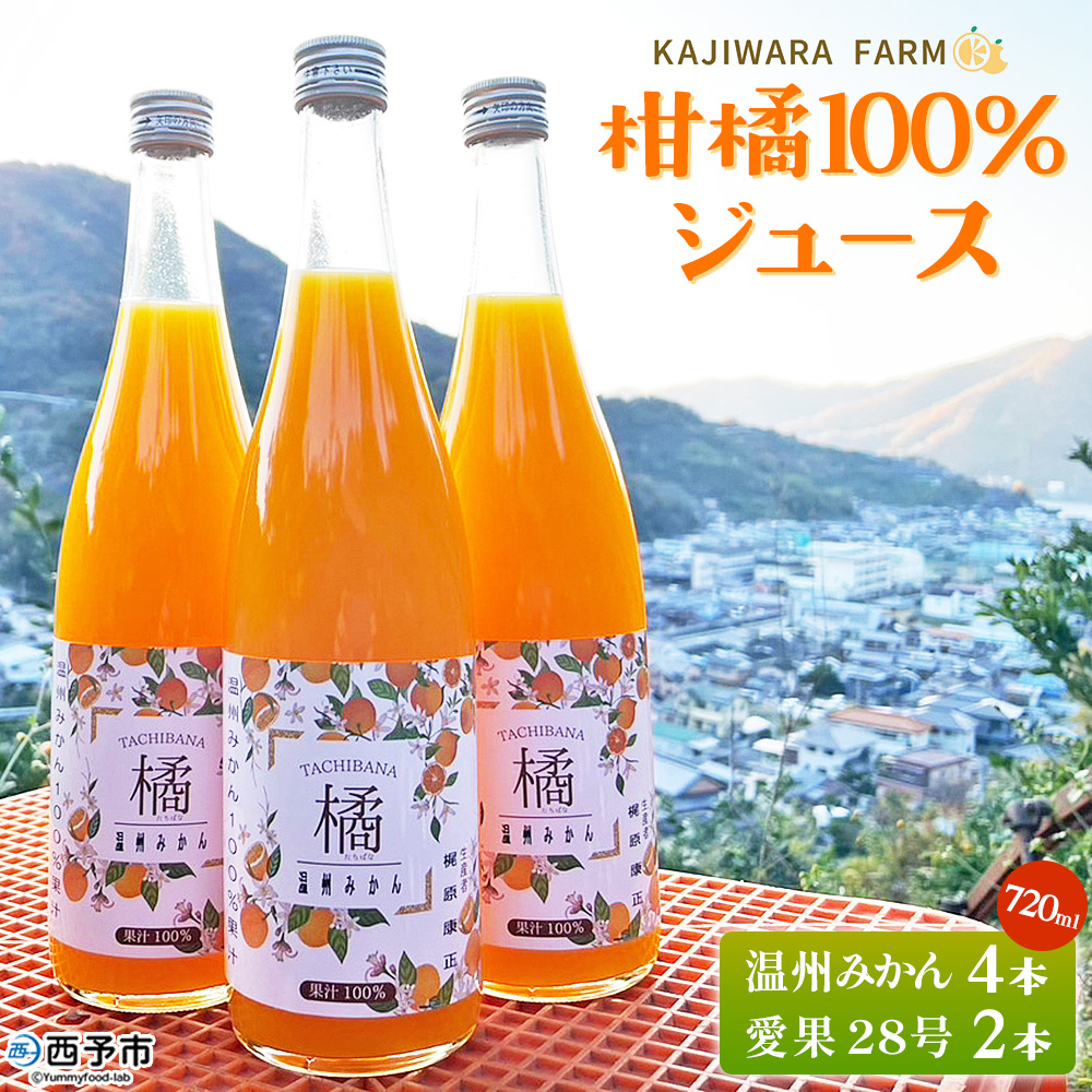 ＜柑橘100％ジュース （温州みかん4本＆愛果28号2本）＞ 温州みかん 愛果28号 紅まどんな 高級柑橘 ストレートジュース 果汁100％ ミカン 蜜柑 果物 柑橘 かじわらFARM 愛媛県 西予市【常温】『1か月以内に順次出荷予定』