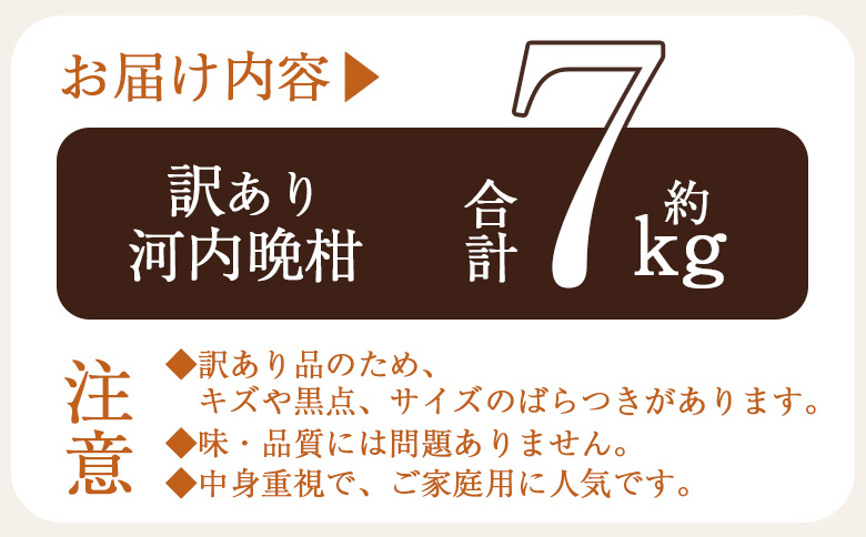 ＜訳あり 河内晩柑 約7kg＞『2026年4月中旬から順次出荷予定』かわちばんかん サイズ不揃い ご家庭用 ご自宅 訳アリ品 宇和ゴールド オレンジ 蜜柑 ミカン みかん 果物 フルーツ 柑橘 国産 愛媛県産 西予市産 西宇和 特産品 丸二青果 愛媛県西予市【常温】