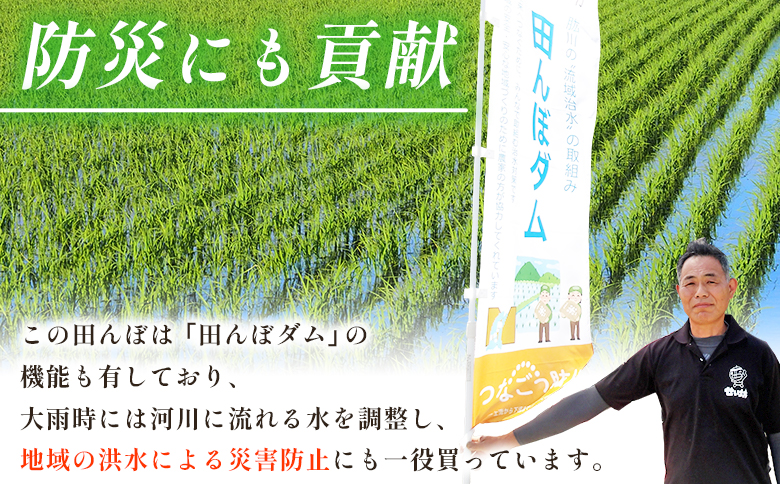 ＜令和7年産 愛媛県西予市産 コシヒカリ 田んぼダム米 5kg＞※最短10営業日以内に順次発送予定 5キロ こしひかり 西予応援米 宇和米 お米 コメ こめ 白米 精米 米 国産 愛媛県産 宇和町産 和みファーム 愛媛県 西予市