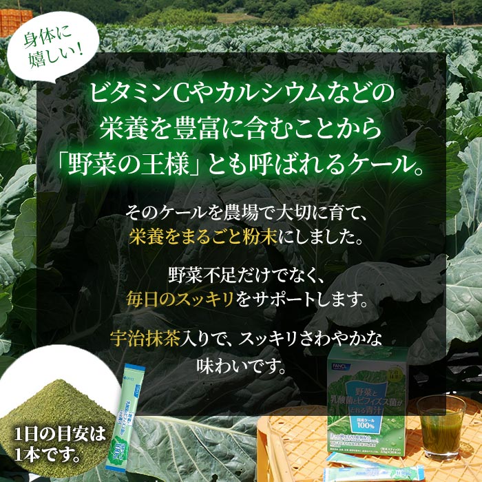 ＜【3回定期便】野菜と乳酸菌とビフィズス菌がとれる青汁＞ ケール 粉末 すっきり 契約農家 健康 濃縮野菜 無添加 ミネラル農法 化学農薬不使用 青汁 飲料 野菜不足解消 グリーンヒル ファンケル FANCL 愛媛県 西予市