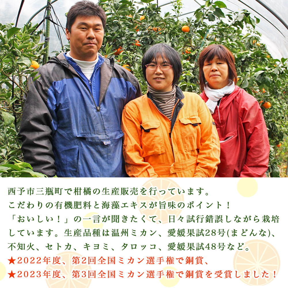 紅まどんなと同品種！＜とびっきりの愛媛 まどんな（６玉）＞マドンナ 愛媛果試第28号 果物 柑橘 フルーツ 産地直送 西宇和 愛媛県 西予市