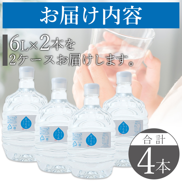 ＜四国カルスト天然水ぞっこん (6L×2本)×2ケース 計4本＞ 飲料 水 みず 中硬水 弱アルカリイオン水 ガロンボトル ウォーター バナジウム 備蓄 防災 キャンプ アウトドア 国産 特産品 ぞっこん四国 愛媛県 西予市