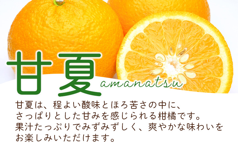 ＜愛媛県西予市産 さわやか柑橘セット 合計約3kg＞『5月～6月中旬頃迄に順次出荷予定』甘夏 河内晩柑 あまなつ ばんかん 果物 フルーツ みかん ミカン 蜜柑 食べ比べ 詰合せ 甘酸っぱい かんきつ 柑橘 特産品 夕焼け山農園 愛媛県 西予市 【常温】