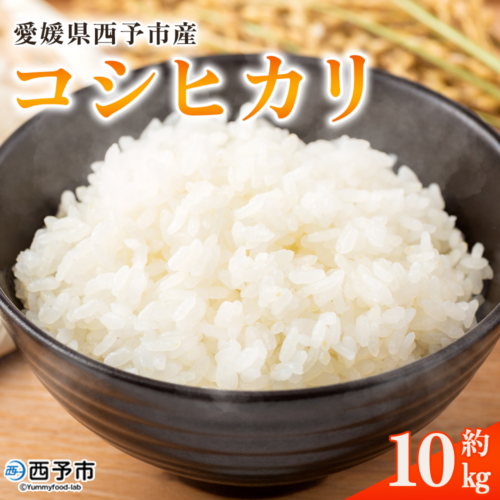 新米[令和8年産 コシヒカリ 10kg]国産 愛媛県産 宇和町産 宇和米 こしひかり お米 米 コメ こめ 白米 精米 ご飯 新鮮 10キロ 特産品 大塚農園 愛媛県 西予市