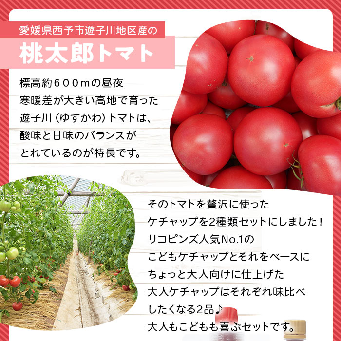 ＜親子で使える こども＆大人ケチャップ 食べ比べセット 合計4個（各種2個）＞ とまと 野菜 完熟 調味料 子供 パスタソース 辛口 詰め合わせ ギフト 国産 特産品 遊子川ザ・リコピンズ 愛媛県 西予市