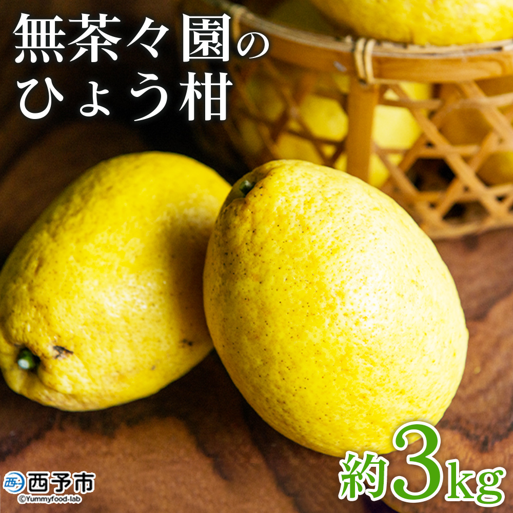 ＜無茶々園のひょう柑 約3kg＞ 果物 みかん くだもの ミカン 柑橘 フルーツ 弓削瓢柑 愛媛県 西予市