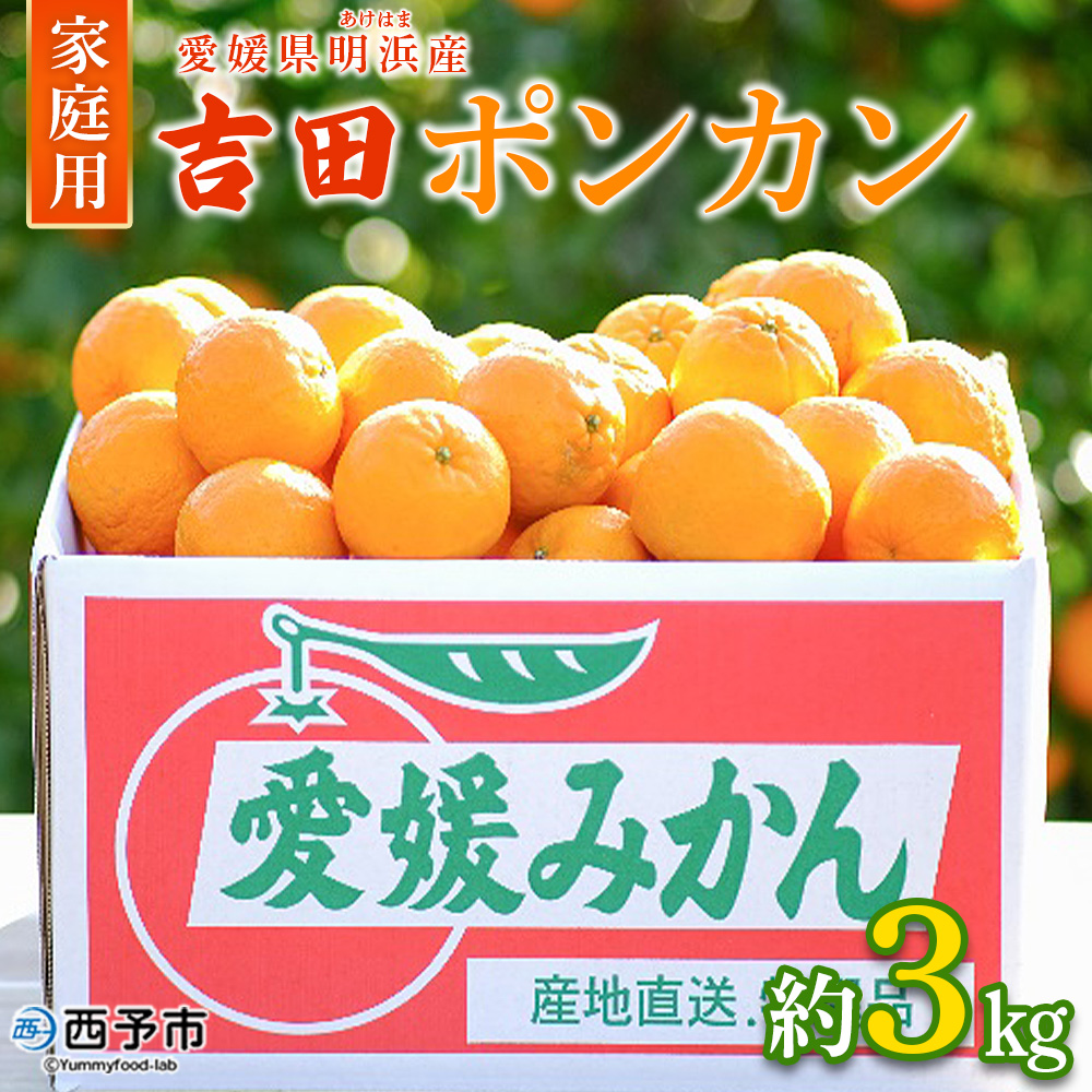＜吉田ポンカン 家庭用 約3kg＞ 果物 くだもの フルーツ みかん ミカン 柑橘 吉田ぽんかん よしだぽんかん ヨシダポンカン ぽんかん 訳あり ご自宅用 特産品 株式会社笑丸 愛媛県 西予市