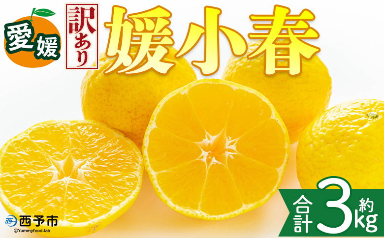 ＜【訳あり】愛媛県産 媛小春 約3kg＞『2027年2月上旬～3月下旬迄順次発送予定』わけあり 訳アリ 希少品種 ひめこはる 高級柑橘 みかん 蜜柑 果物 くだもの フルーツ ミカン 果汁 国産 特産品 株式会社三代目みかん職人 愛媛 西予市【冷蔵】