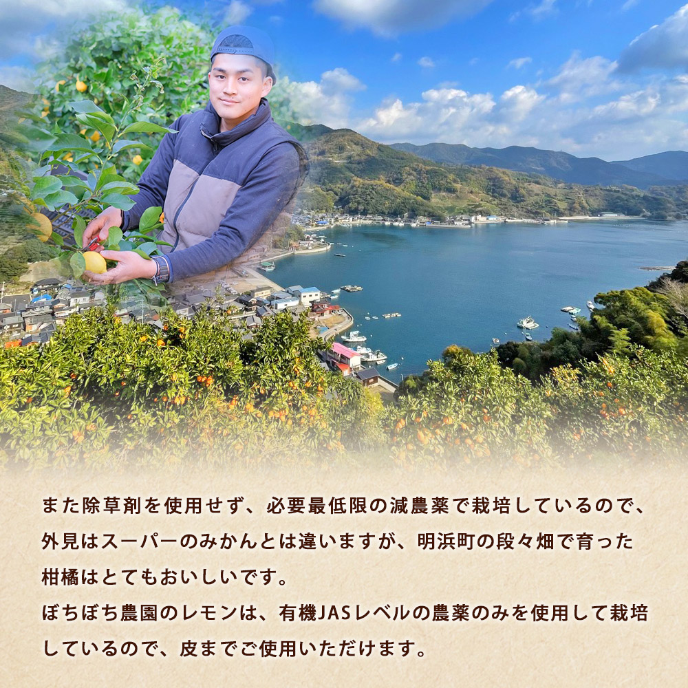 ãŒã¡ãŒã¡èŸ²åã®ã¬ã¢ã³3kgãå®¶åºçš