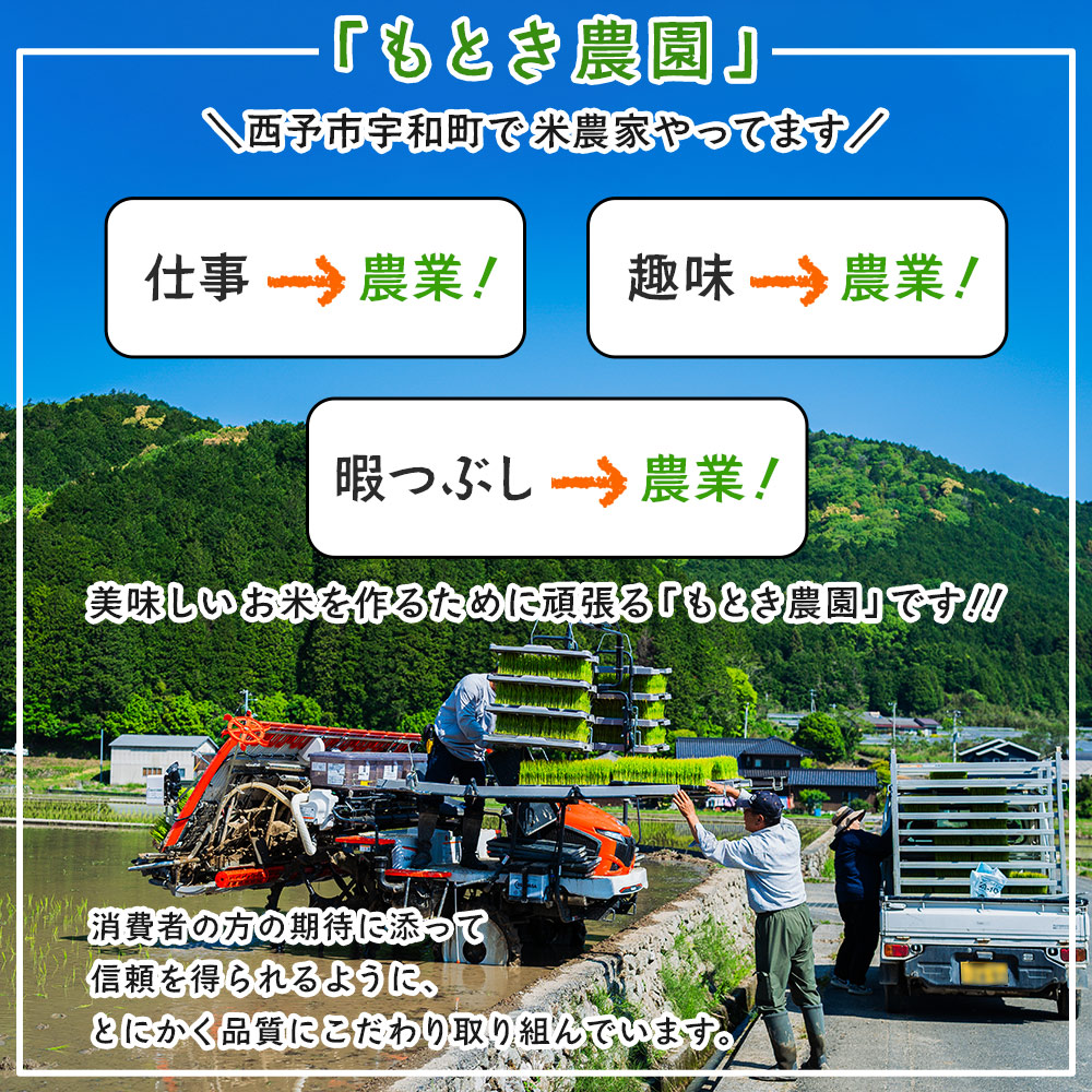 ＜令和7年産 愛媛県西予市産 コシヒカリ 5kg＞ お米 コメ こめ 白米 精米 ご飯 新鮮 5キロ 国産 愛媛県産 宇和町産 こしひかり 特産品 もとき農園 愛媛県 西予市