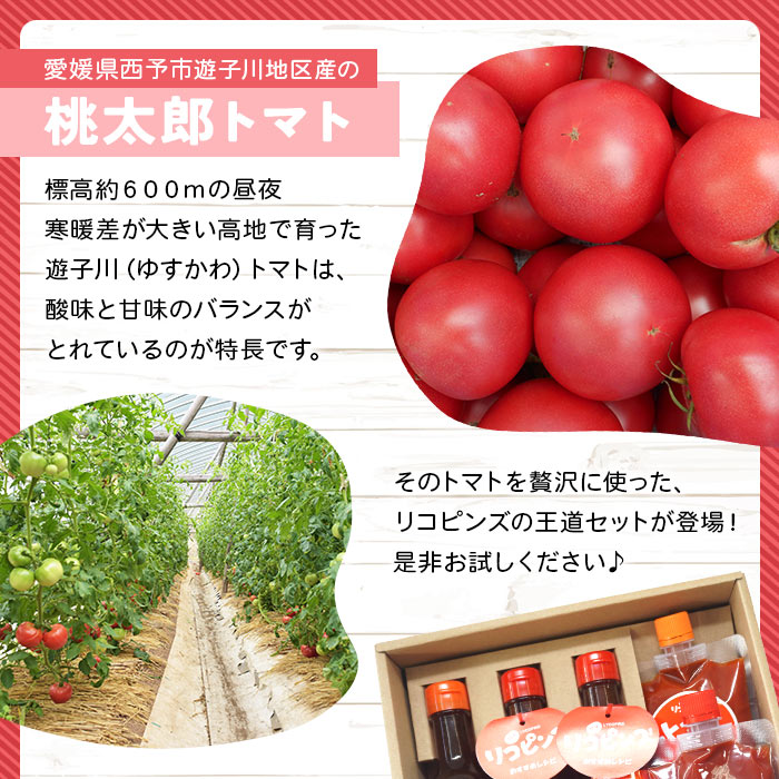 ＜リコピンズの王道セット（遊子川トマトの加工品）＞ とまと 野菜 ケチャップ 子供 ポン酢 完熟 トマトソース ドレッシング 調味料 詰め合わせ ギフト 国産 特産品 遊子川ザ・リコピンズ 愛媛県 西予市