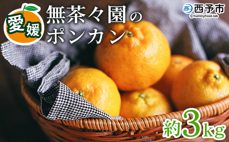 【先行予約】＜無茶々園のポンカン 約3kg＞ 果物 くだもの フルーツ ぽんかん みかん 蜜柑 柑橘類 かんきつ 旬 甘い 濃厚 新鮮 期間限定 季節限定 産地直送 特産品 愛媛県 西予市