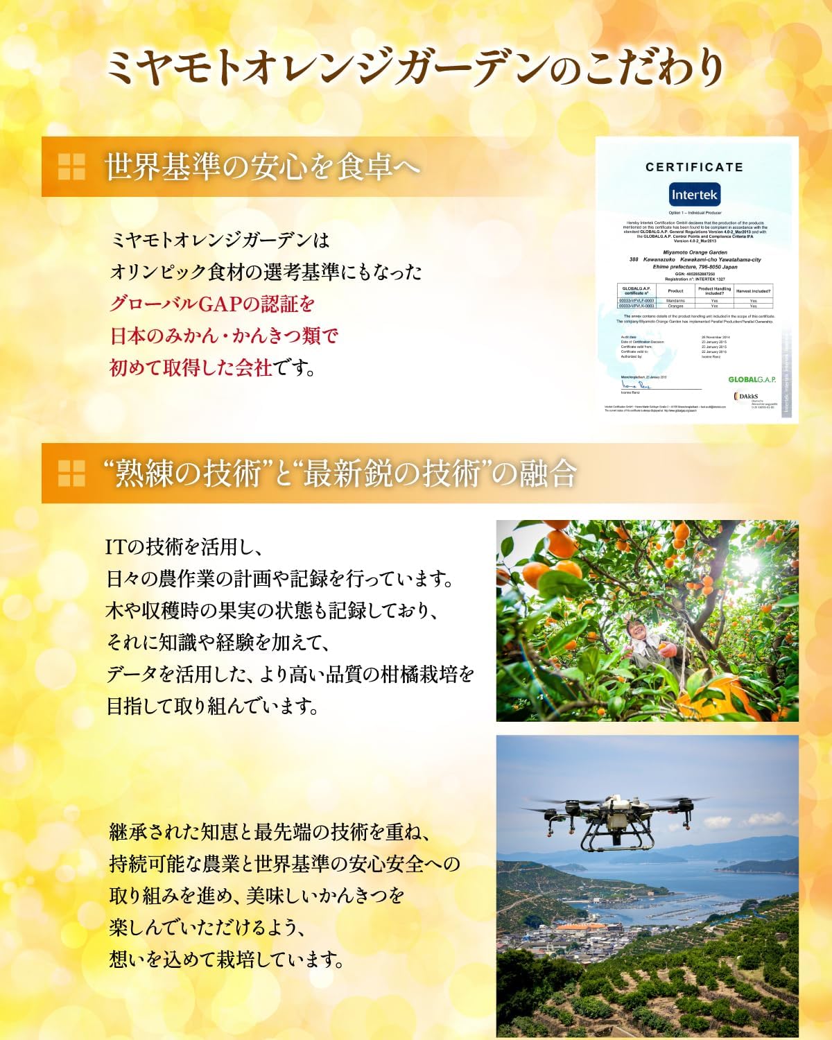 ＜5種の味わい食べ比べ寒天ゼリー＞ 『1か月以内に順次出荷予定』愛媛柑橘セレクション お任せ 贅沢 フルーツ デザート セット 果物 みかん ひんやりスイーツ おやつ ギフト 贈り物 特産品 ミヤモトオレンジガーデン 愛媛県 西予市【常温】