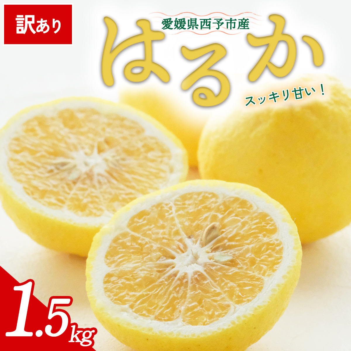 先行予約＜訳あり 愛媛県産 はるか 合計約1.5kg＞ 『2027年2月以降順次出荷予定』上品 甘さ さっぱり 爽やか 酸味 ご家庭用 ご自宅 蜜柑 果肉 果物 柑橘 フルーツ オレンジ 国産 濃厚 果汁 産地直送 ミヤモトオレンジガーデン 愛媛県 西予市【常温】