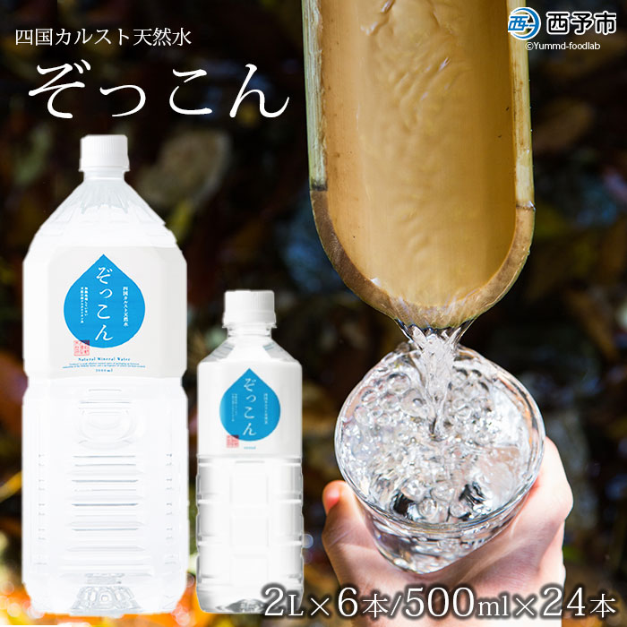 四国カルスト天然水ぞっこん（500mL×24本、2L×6本）