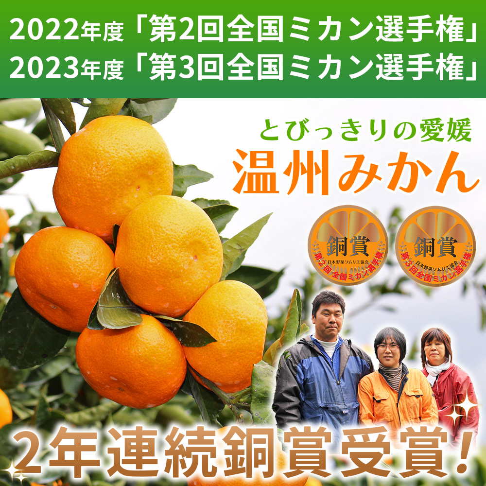 ＜とびっきりの愛媛 温州みかん 約５kg（家庭用大小混合）＞ 訳あり 家庭用 果物 柑橘 フルーツ 西宇和 愛媛県 西予市