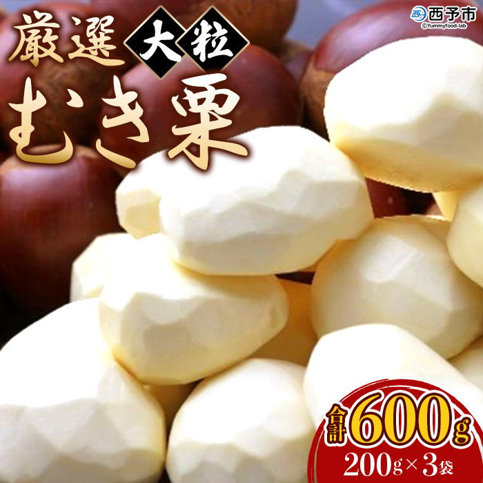 ＜厳選 大粒むき栗 合計600g（200g×3袋）＞ くり 生栗 剥き栗 マロン 秋の味覚 愛媛県 西予市