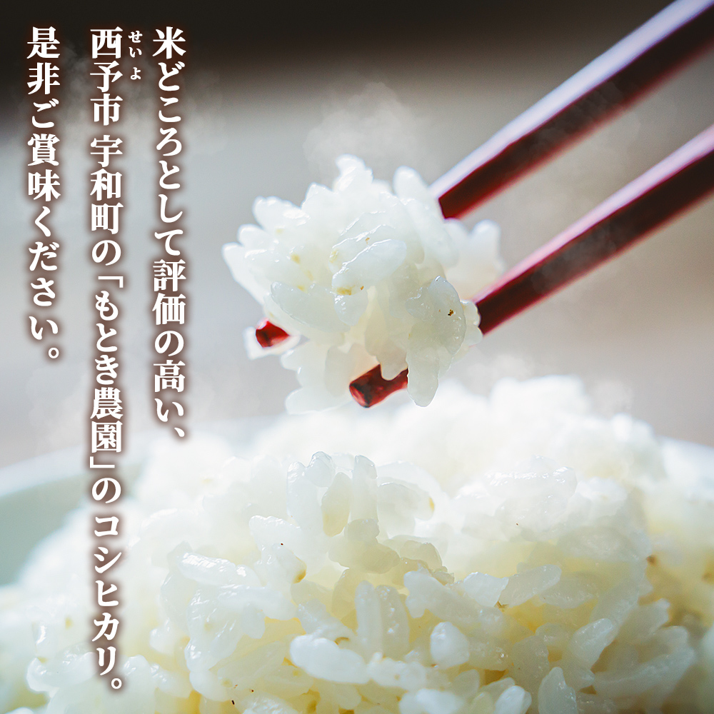 ＜令和7年産 愛媛県西予市産 コシヒカリ 5kg＞ お米 コメ こめ 白米 精米 ご飯 新鮮 5キロ 国産 愛媛県産 宇和町産 こしひかり 特産品 もとき農園 愛媛県 西予市