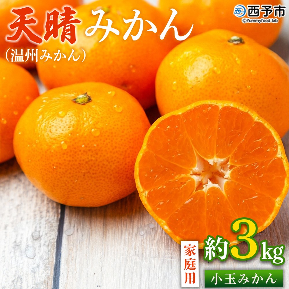 ＜愛媛県明浜産 天晴みかん（温州みかん）約3kg 小玉サイズ＞ 家庭用 訳あり ワケアリ 果物 くだもの フルーツ ミカン 柑橘 特産品 笑丸 愛媛県 西予市