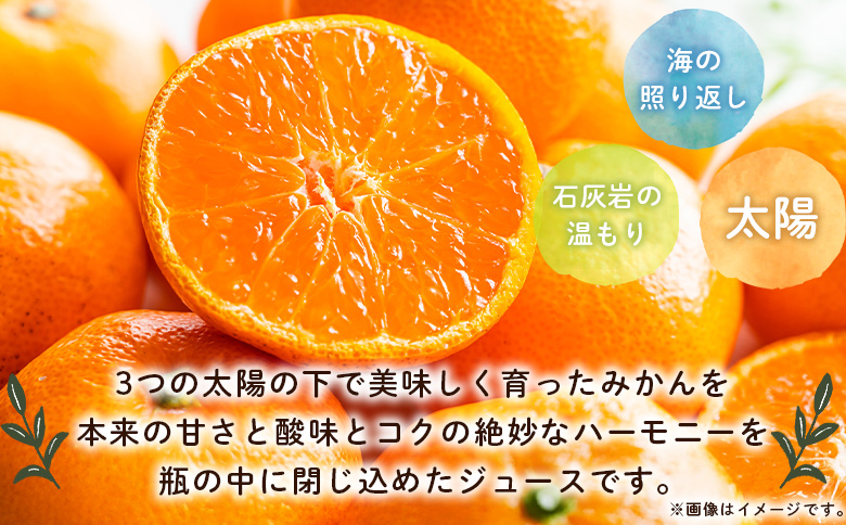 夕焼け山農園の柑橘ジュース 飲み比べセット　200ml×12本