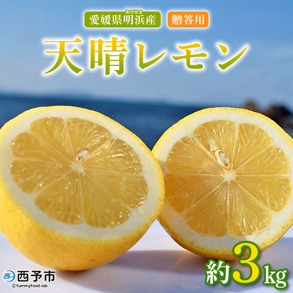 ＜天晴レモン 贈答用 約3kg＞ フルーツ 果物 くだもの レモン れもん 檸檬 柑橘 プレゼント 贈り物 お返し お礼 ギフト アレンジ 料理 国産 国産レモン 愛媛県産 特産品 株式会社笑丸 愛媛県 西予市