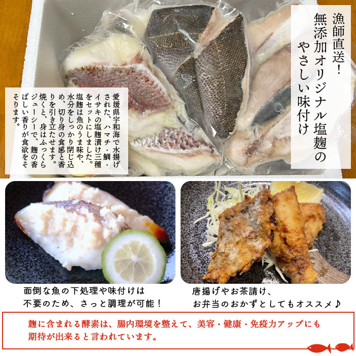 ＜漁師直送 無添加 夏の塩麹 160g×3種セット＞ 魚 詰め合わせ 海鮮 海産物 海鮮セット ハマチ 鯛 イサキ 焼くだけ 簡単調理 処理済み 明浜産 二ノ宮商事株式会社 愛媛県 西予市【冷凍】『2026年4月～9月末迄に順次出荷予定』