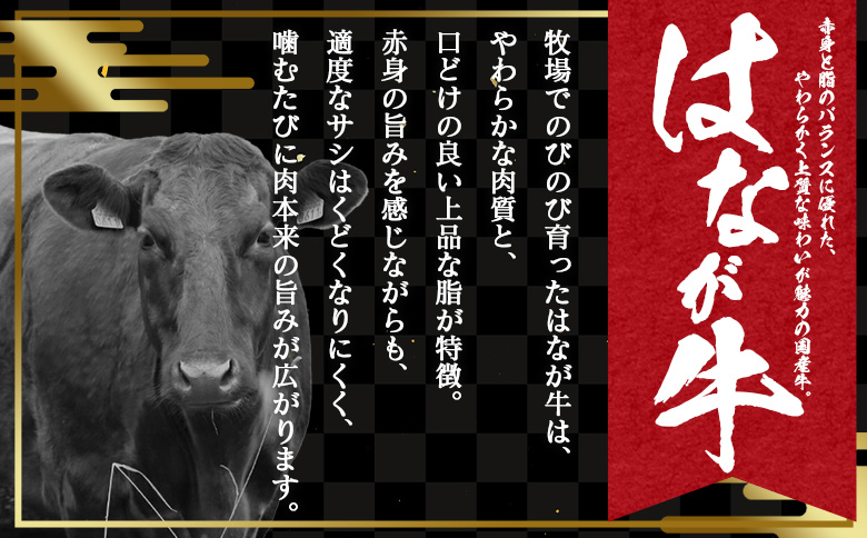 ＜はなが牛 特上すき焼き鍋 1人前＞ IH対応 簡単調理 温めるだけ すきやき お鍋 おかず 一品料理 牛肉 はなが黒牛 肩ロース 野菜 きのこ キノコ 具だくさん ゆうぼく 愛媛県 西予市