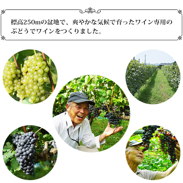 ïŒå
ã¯ã€ã³ãçœããããŒãå1æ¬ã»ããïŒ ãé
ã¢ã«ã³ãŒã« ãç¥ã å
ç¥ã 家飲㿠å®
é£²ã¿ ä¹Ÿæ¯ å
èŸ²å Ž ç¹ç£å æåªç 西äºåž