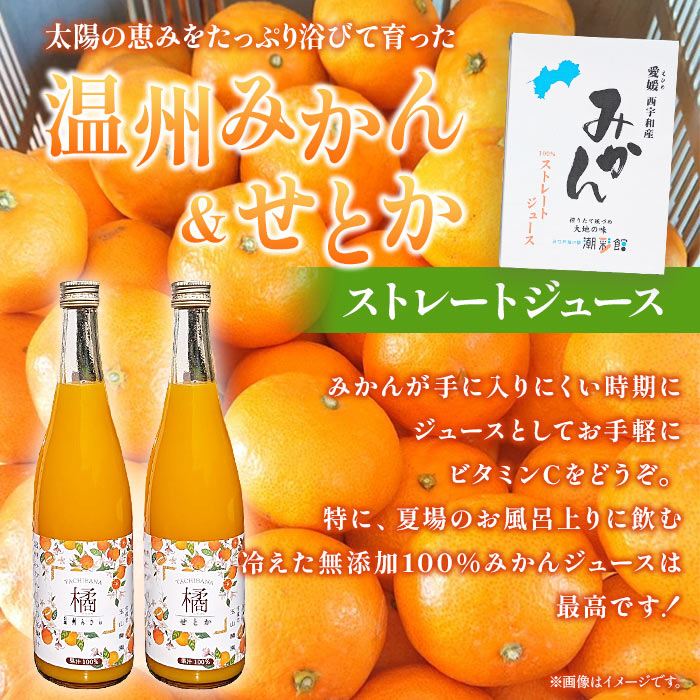 ＜【数量限定】果汁100％ みかんジュース 720ml×3本セット＞ 温州みかん せとか 果物 オレンジ ミカン みかん 柑橘 フルーツ 無添加 ストレート 西宇和産 愛媛県 西予市