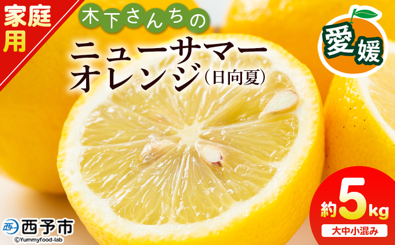 ＜木下さんちのニューサマーオレンジ 家庭用 約5kg（大中小サイズ混み）＞ 柑橘類 日向夏 ミカン 蜜柑 果物 くだもの フルーツ 国産 特産品 木下農園 愛媛県 西予市【常温】『2027年4月上旬〜5月中旬に順次出荷』