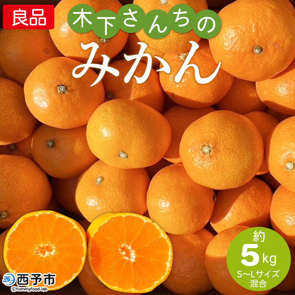 [木下さんちのみかん 良品 約5kg(S〜Lサイズ混合)] 柑橘 温州みかん ミカン 果物 くだもの フルーツ 西宇和 愛媛県 西予市