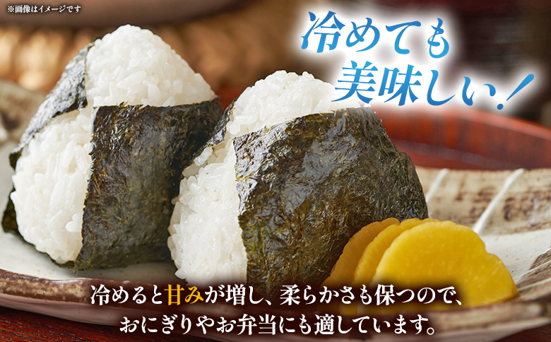 先行予約＜令和8年産 米 にじのきらめき 精米 約5kg＞ 選べる 2026年産 単一原料米 単一米 5キロ ニジノキラメキ お米 コメ こめ 白米 ご飯 ライス りの果樹園 愛媛県 西予市【常温】『2026年10月頃から順次出荷予定』