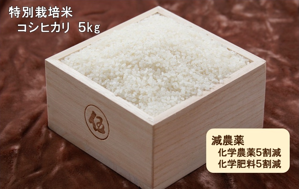 令和５年産　西予市宇和町産　特別栽培米コシヒカリ５kg